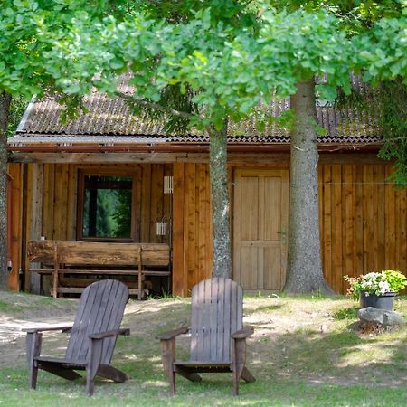 Holiday House With Sauna Cēsis Zewnętrze zdjęcie