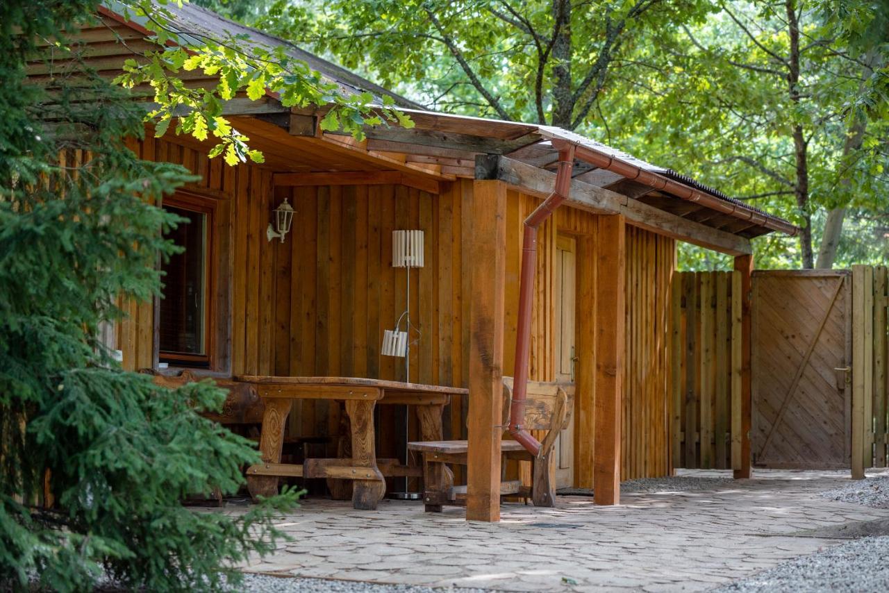 Holiday House With Sauna Cēsis Zewnętrze zdjęcie